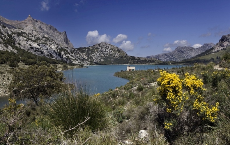 Foto de Mallorca (Illes Balears), España