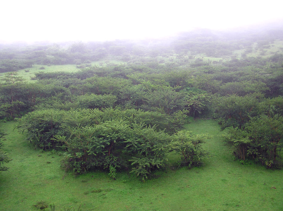 Foto de Addis (Abeba), Etiopía