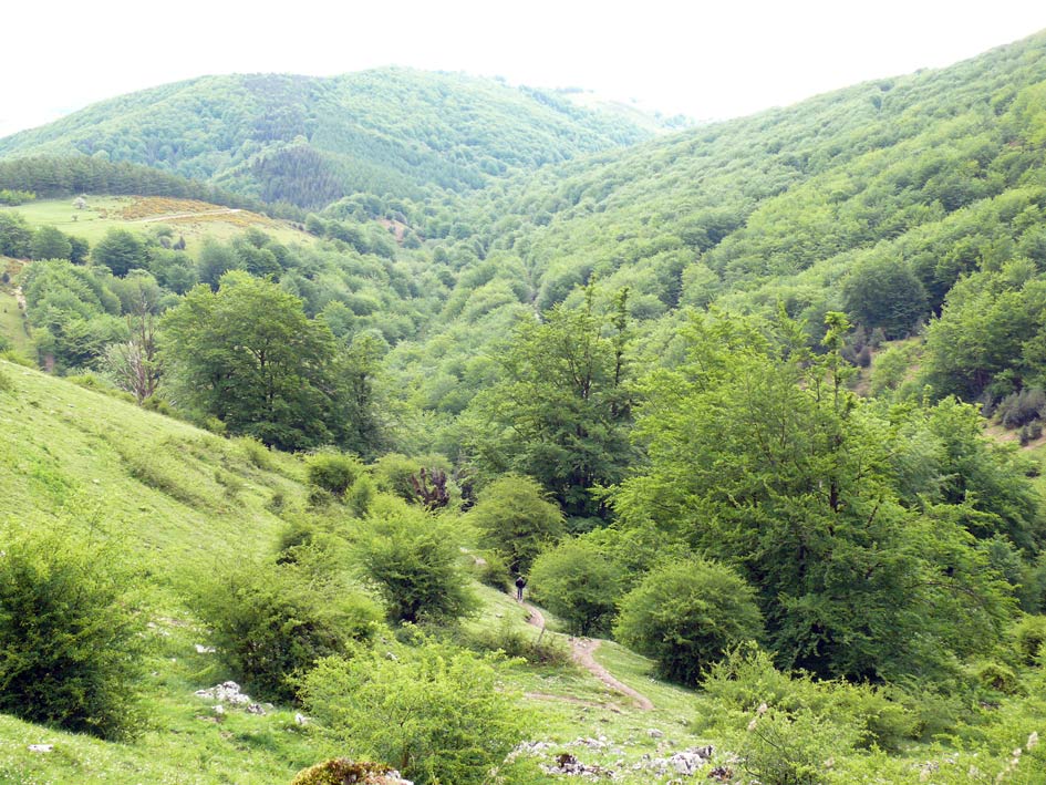 Foto de Zegama (Gipuzkoa), España