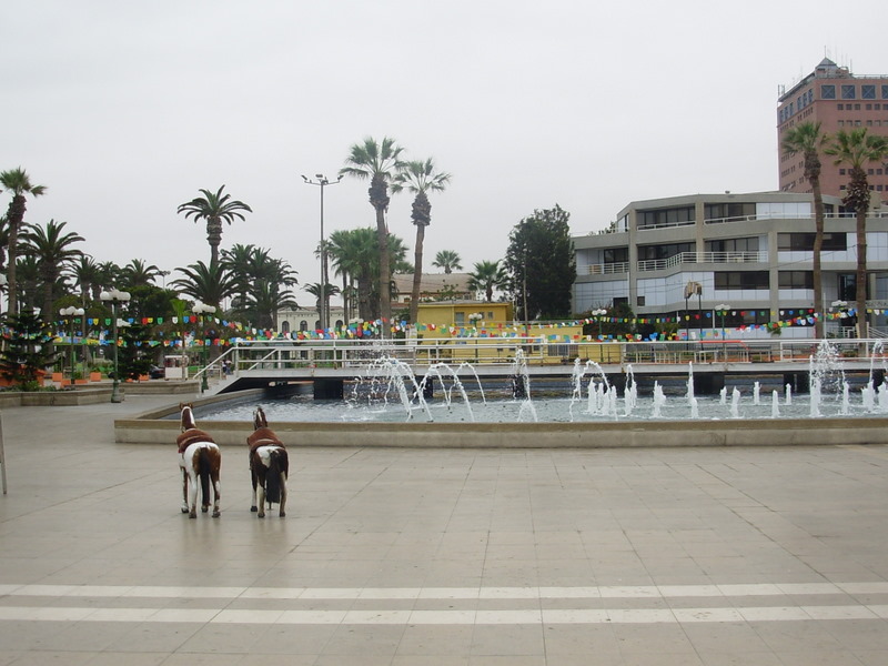 Foto de Arica, Chile