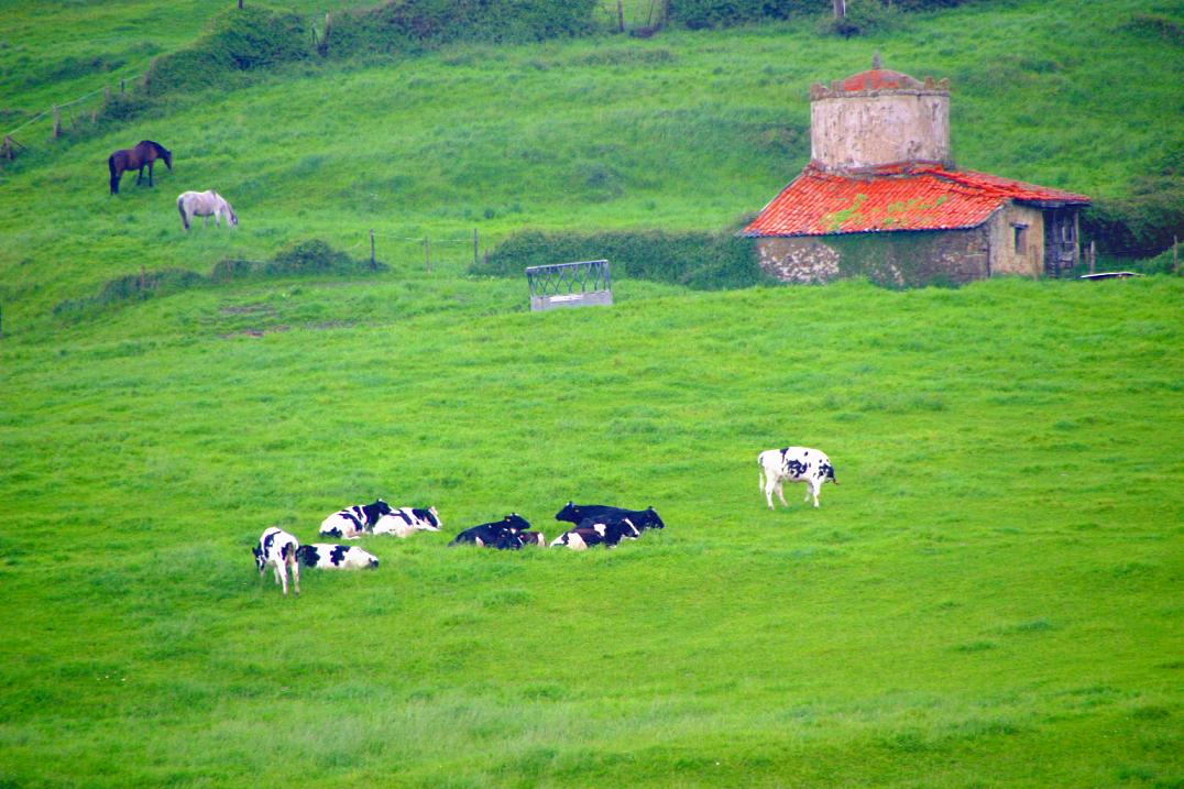 Foto de Trasvía (Cantabria), España