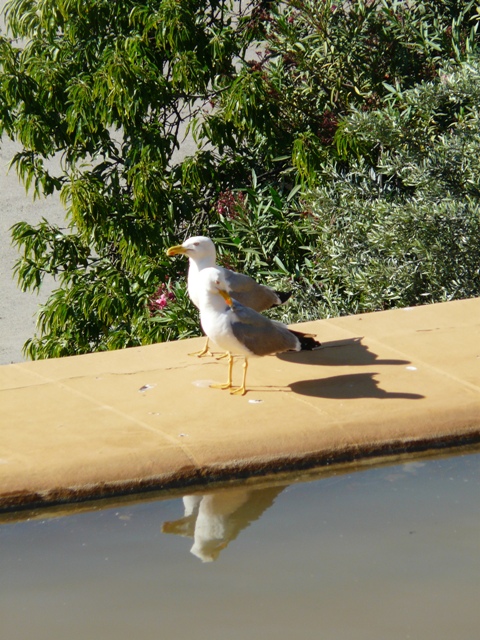 Foto de Barcelona (Cataluña), España