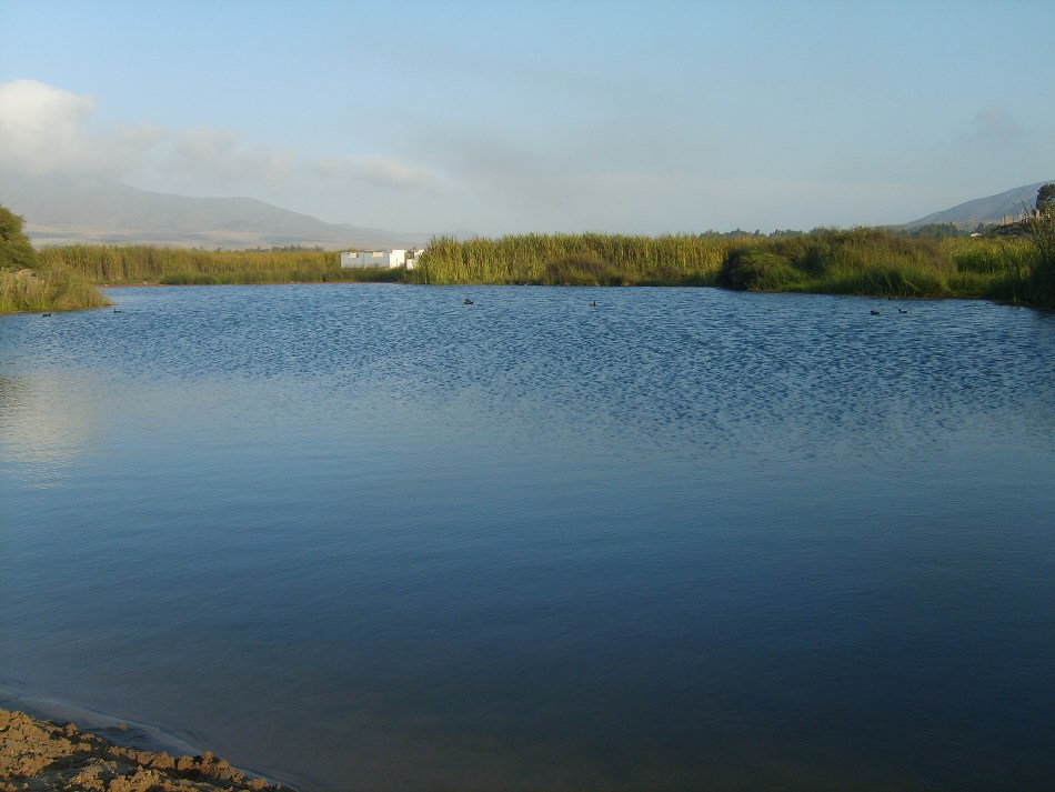 Foto de Huasco, Chile