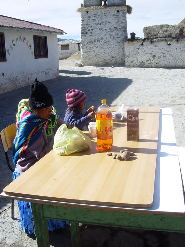 Foto de Parinacota, Chile