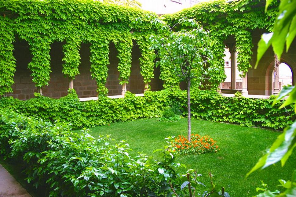 Foto de Olite (Navarra), España