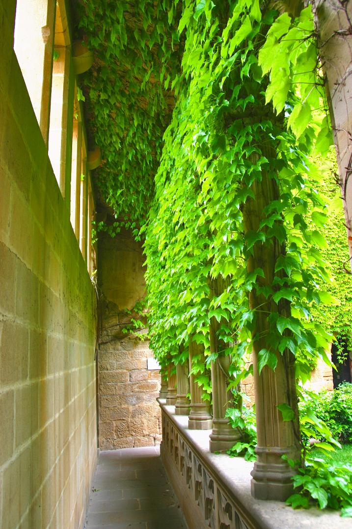 Foto de Olite (Navarra), España