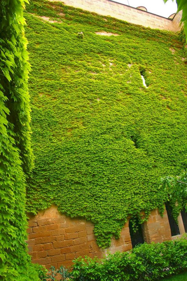 Foto de Olite (Navarra), España