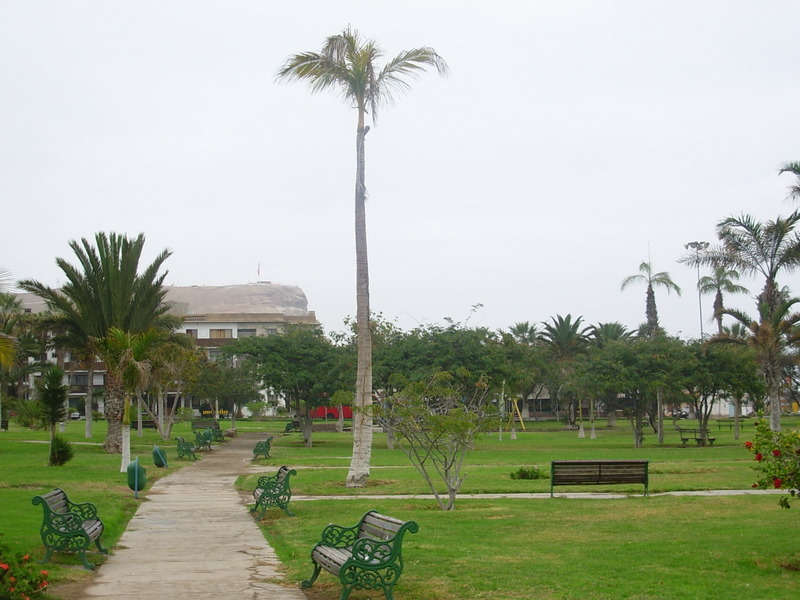 Foto de Arica, Chile