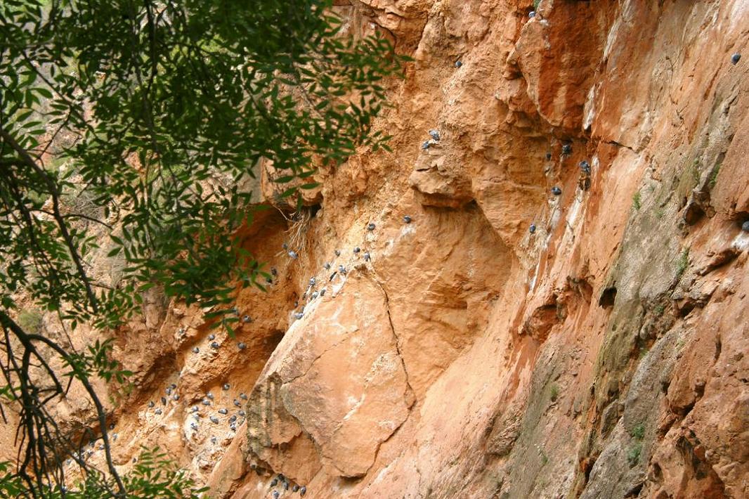 Foto de Nuévalos (Zaragoza), España