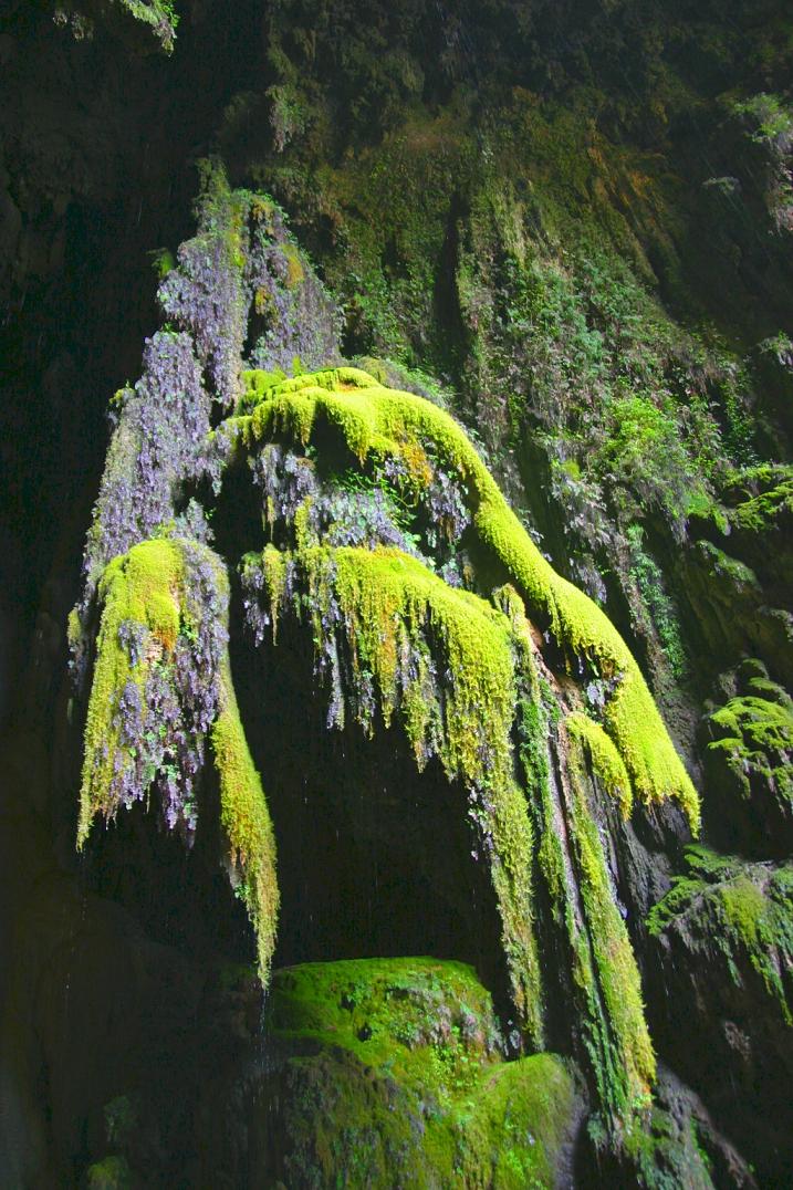 Foto de Nuévalos (Zaragoza), España