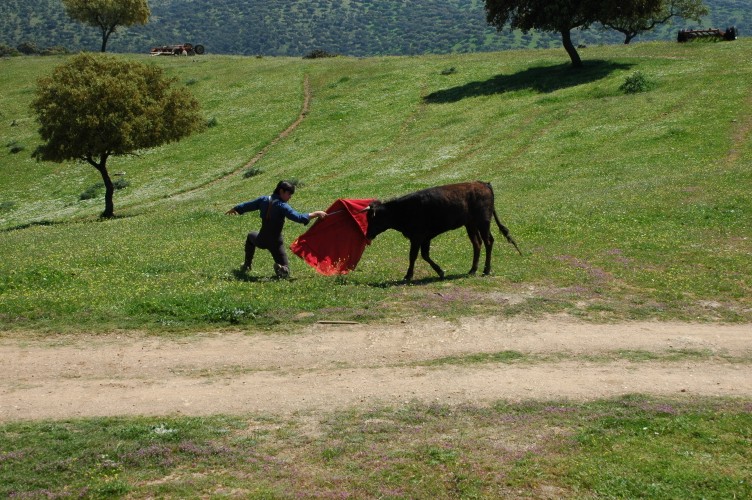 Foto de Plasencia (Cáceres), España