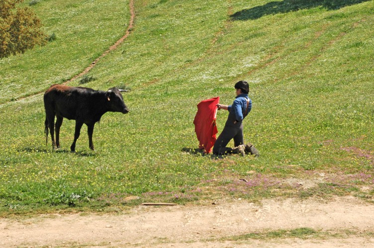 Foto de Plasencia (Cáceres), España