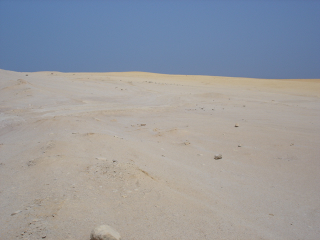 Foto de Paracas, Perú