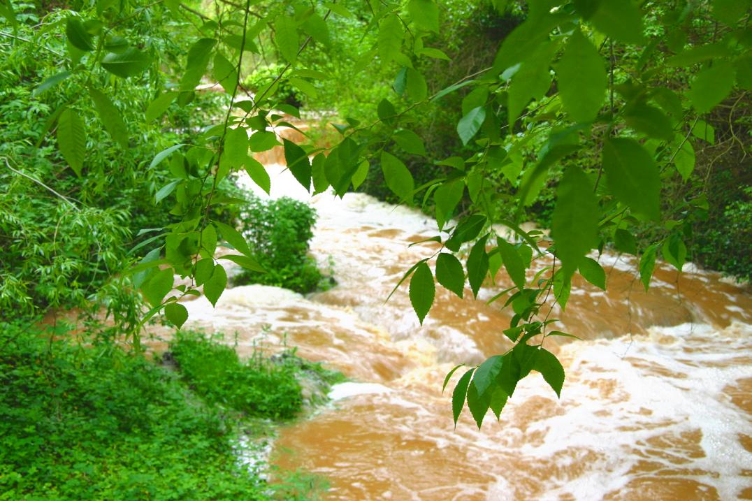 Foto de Nuévalos (Zaragoza), España