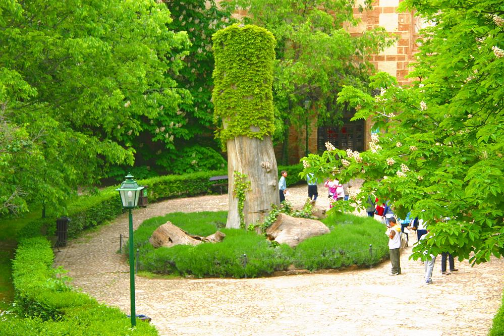 Foto de Nuévalos (Zaragoza), España