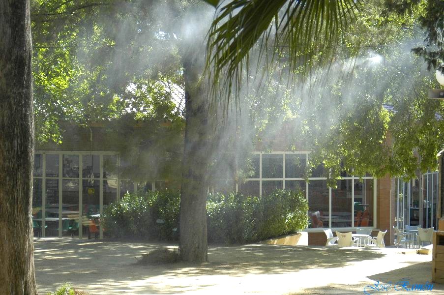 Foto de Jerez de la Frontera (Cádiz), España