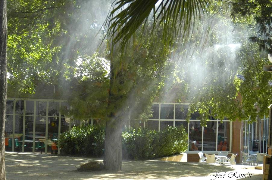 Foto de Jerez de la Frontera (Cádiz), España