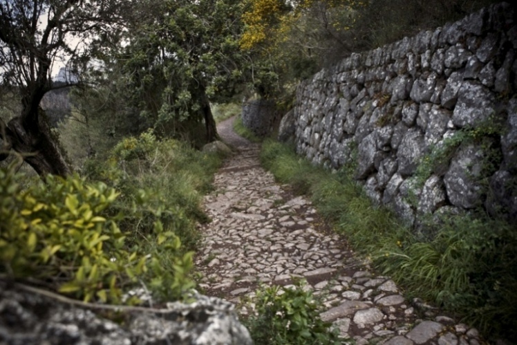 Foto de Mallorca (Illes Balears), España