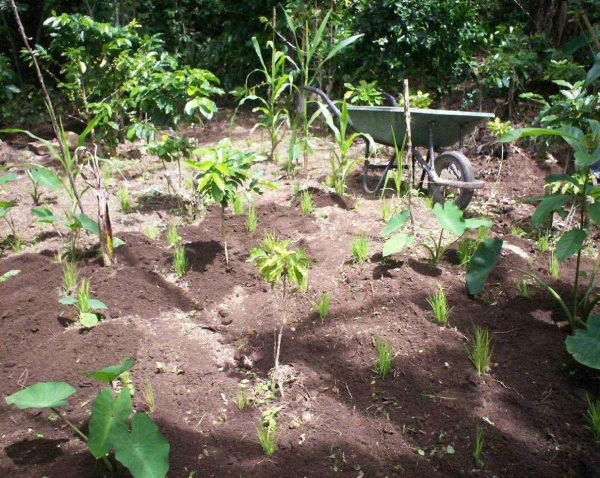 Foto de San Ignacio de Acosta, Costa Rica