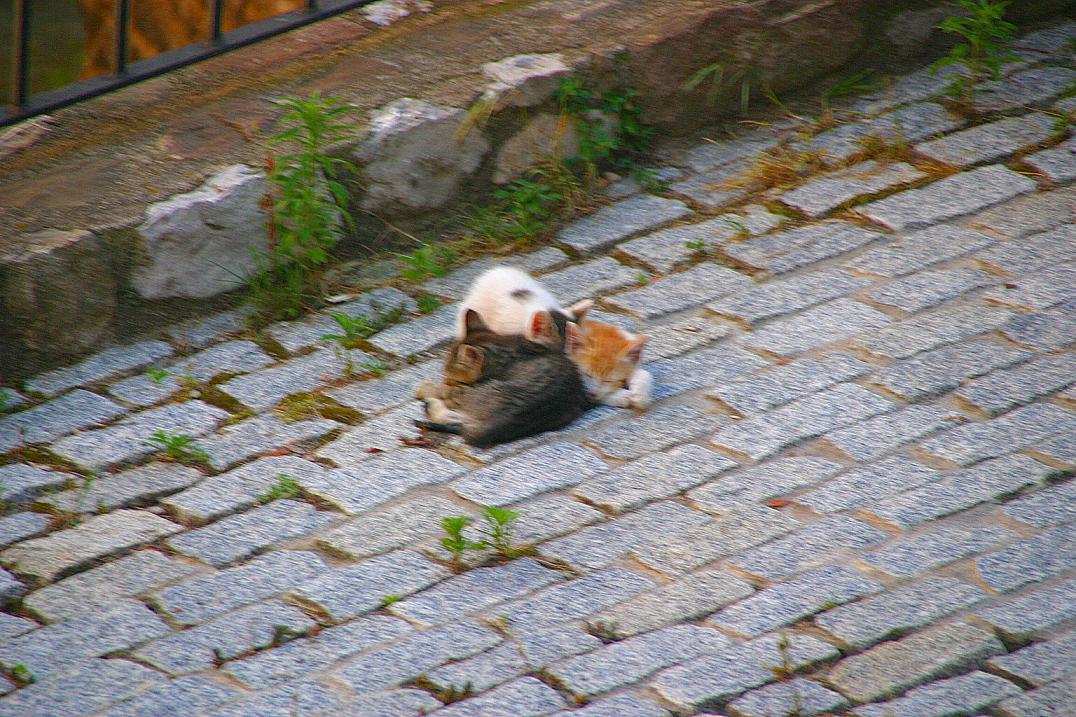 Foto de Bagà (Barcelona), España