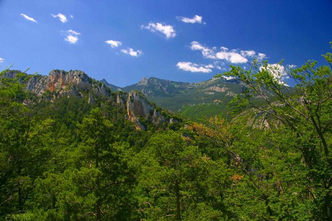 Foto de Berga (Barcelona), España