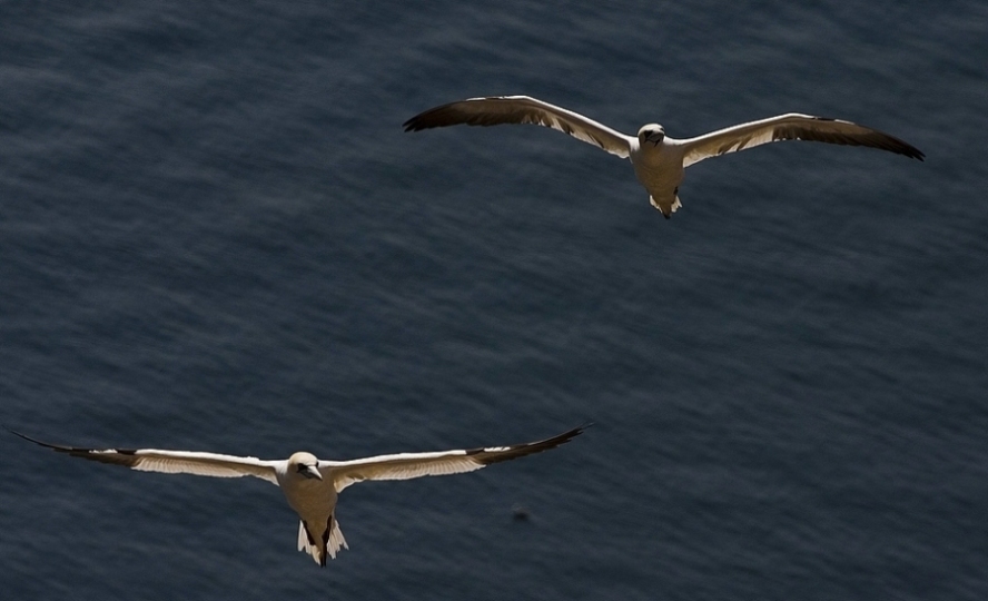 Foto de Barcelona (Cataluña), España