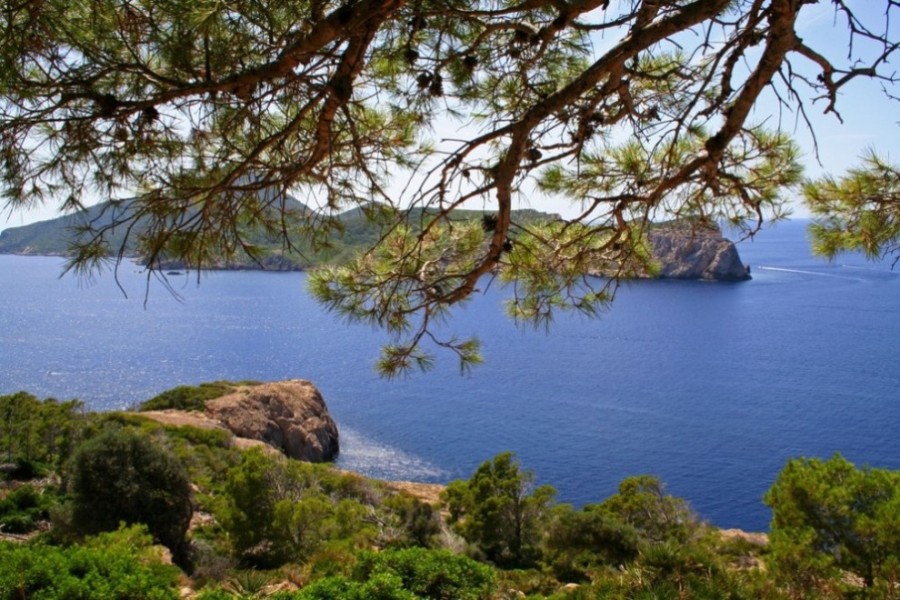 Foto de Mallorca (Illes Balears), España