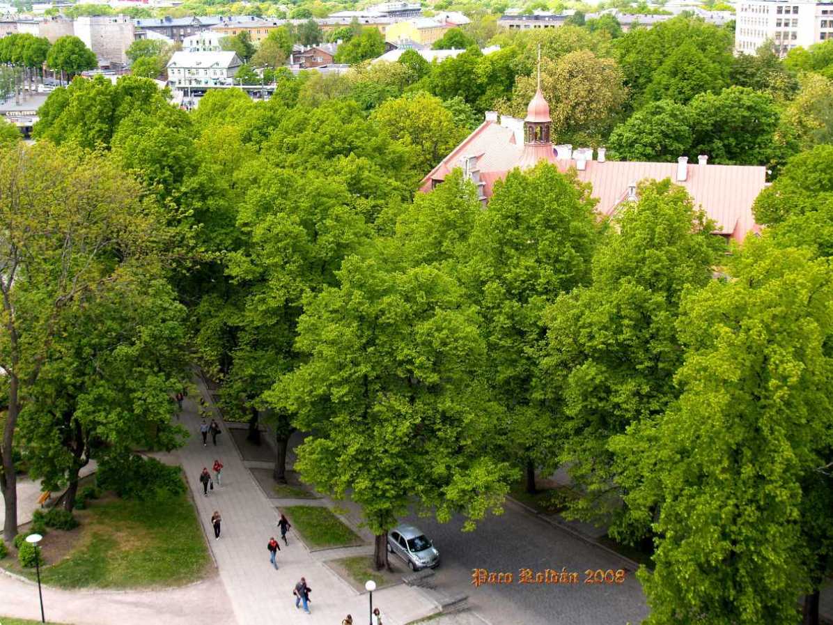 Foto de Tallin, Estonia