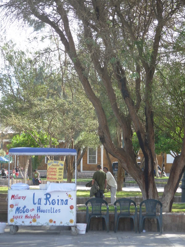 Foto de Pozo al Monte, Chile