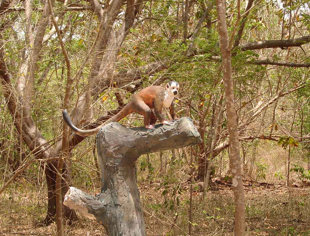 Foto de Puntarenas, Costa Rica