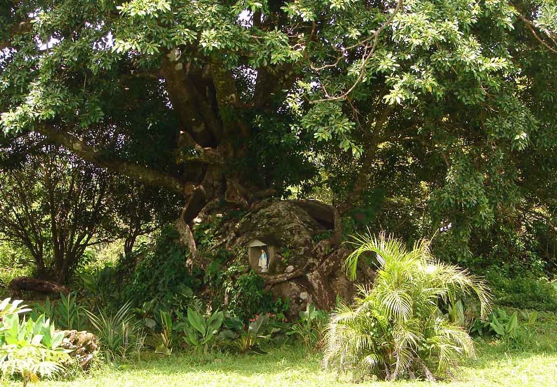 Foto de Cañas - Guanacaste, Costa Rica