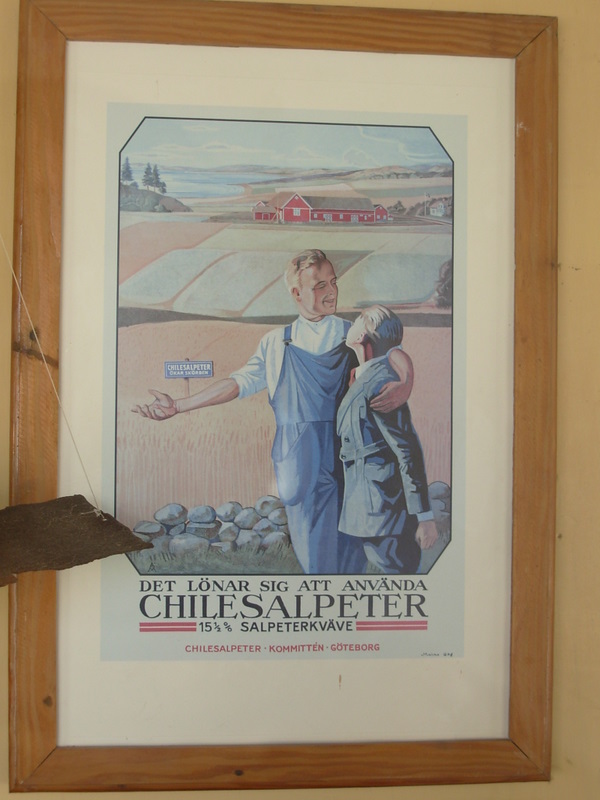 Foto de Iquique, Chile