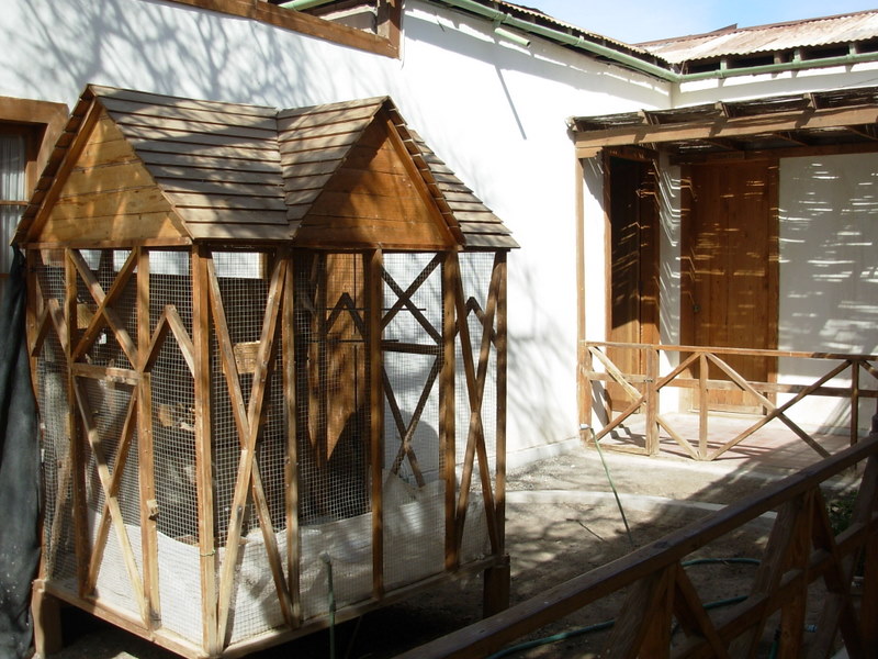 Foto de Iquique, Chile