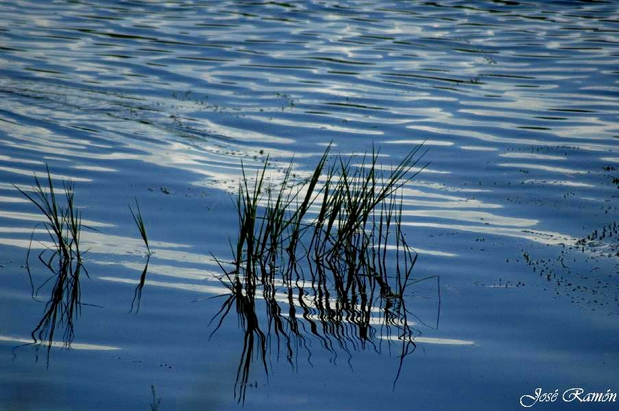 Foto de Sevilla (Andalucía), España