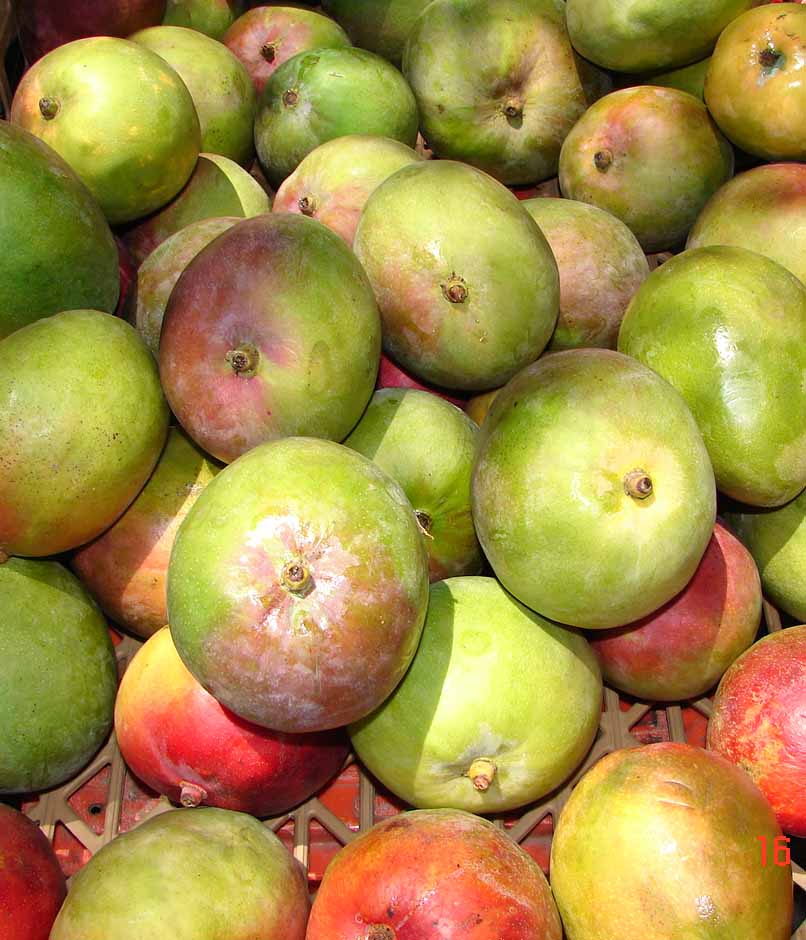 Foto de Puntarenas, Costa Rica