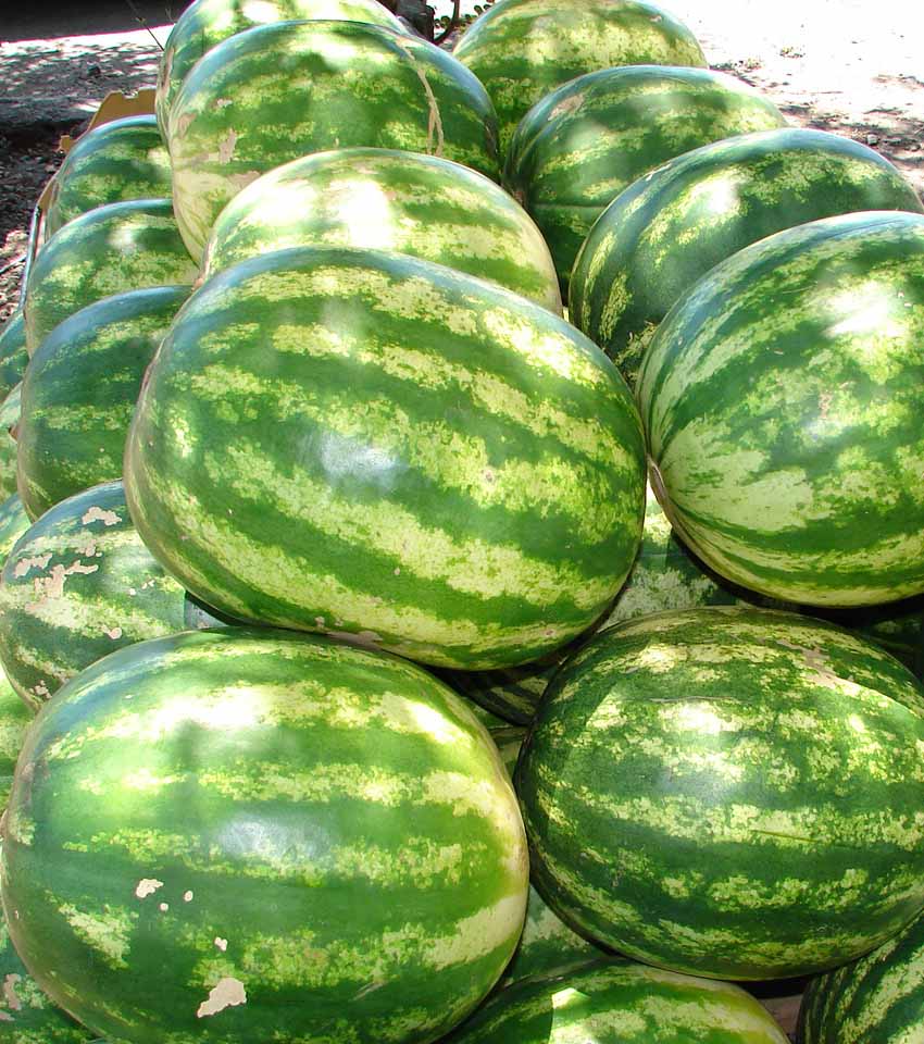 Foto de Puntarenas, Costa Rica