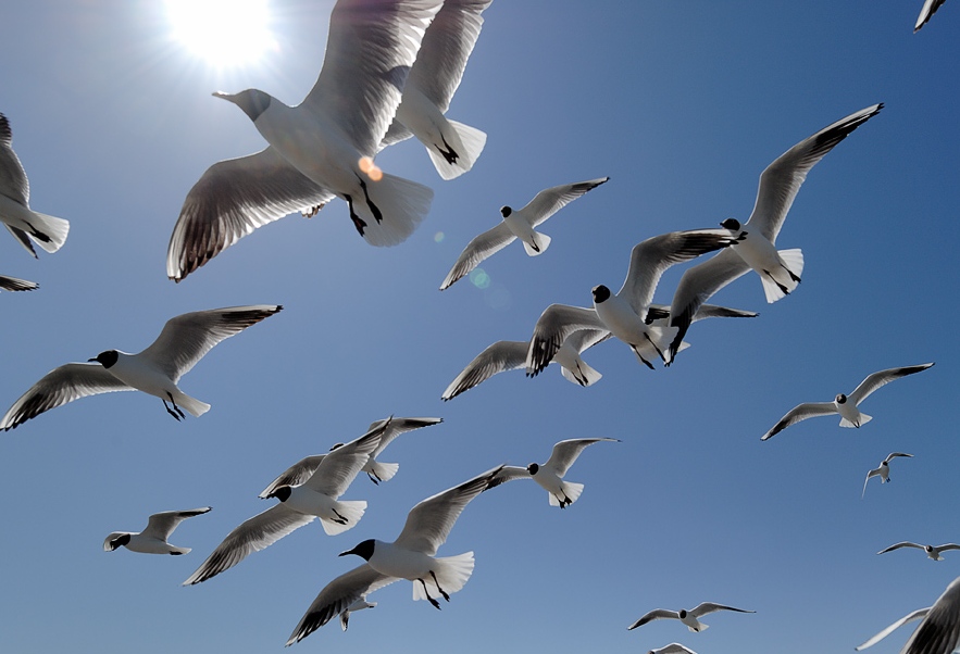 Foto de Barcelona (Cataluña), España