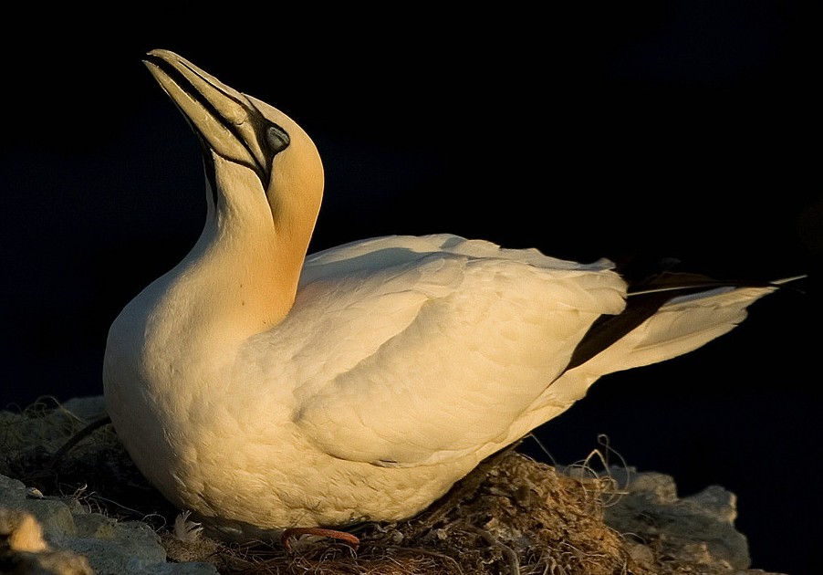 Foto de Barcelona (Cataluña), España