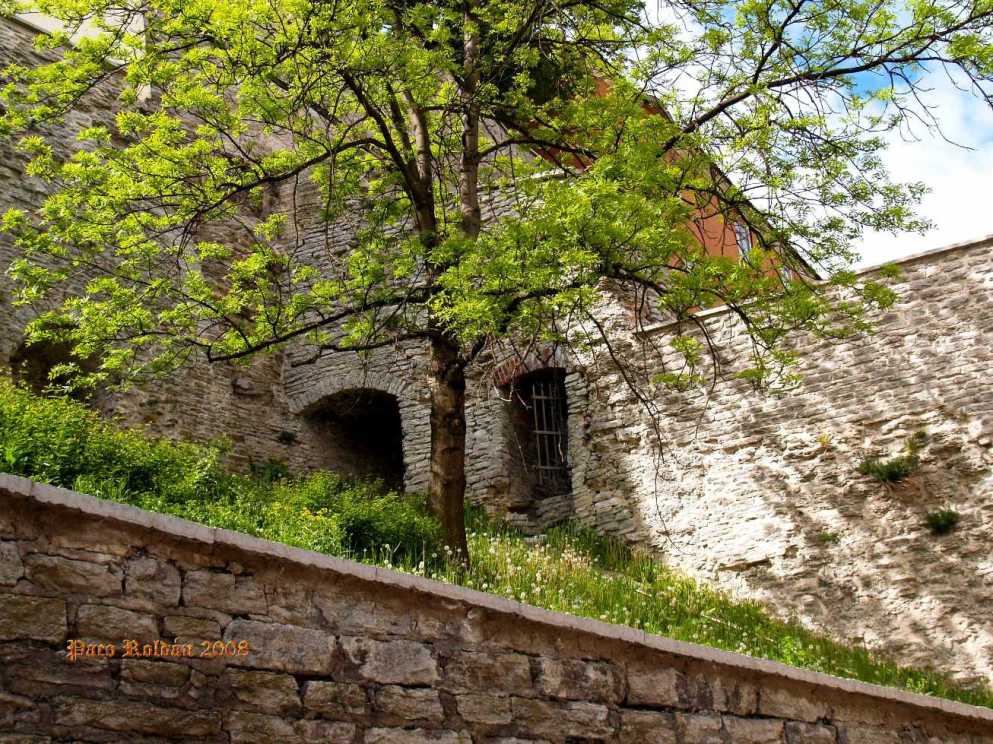 Foto de Tallin, Estonia