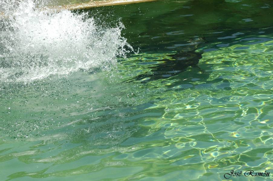 Foto de Sevilla (Andalucía), España