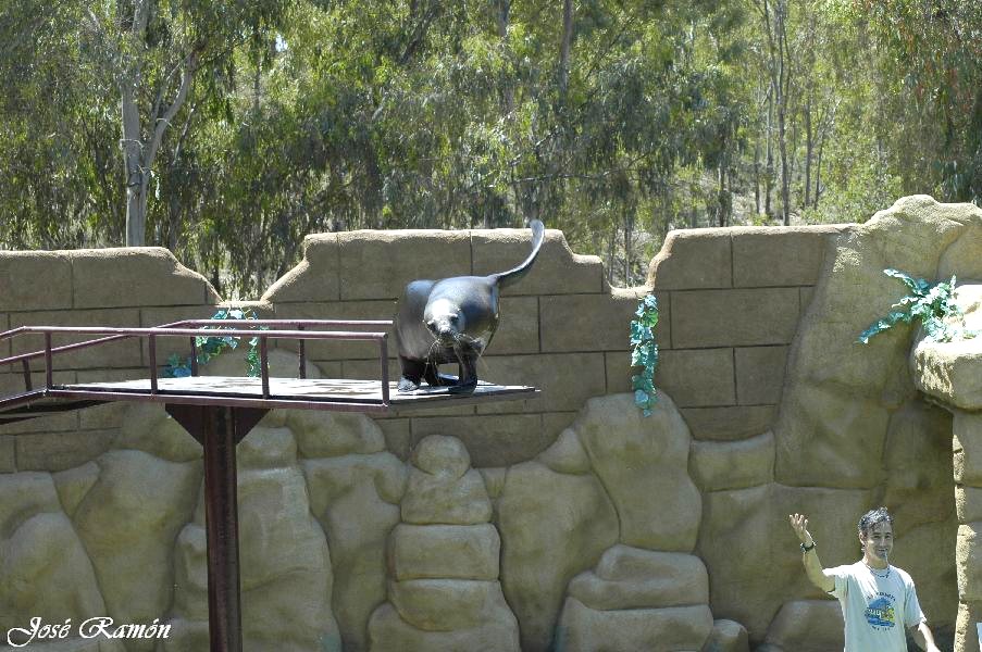 Foto de Sevilla (Andalucía), España