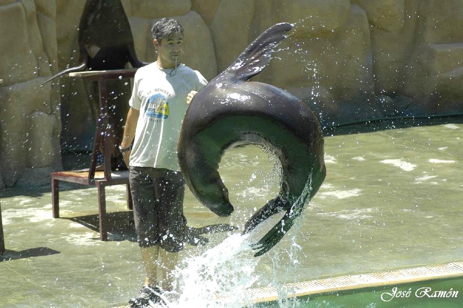 Foto de Sevilla (Andalucía), España