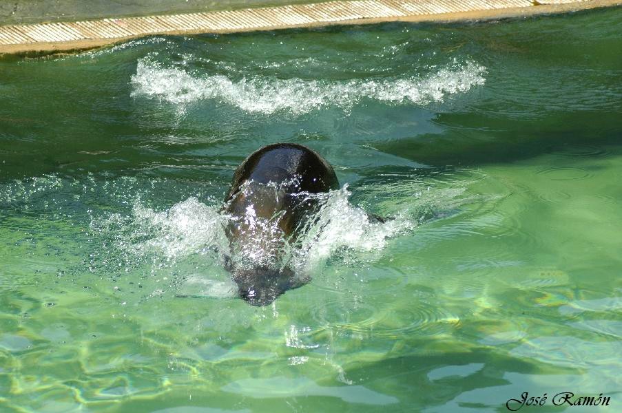 Foto de Sevilla (Andalucía), España