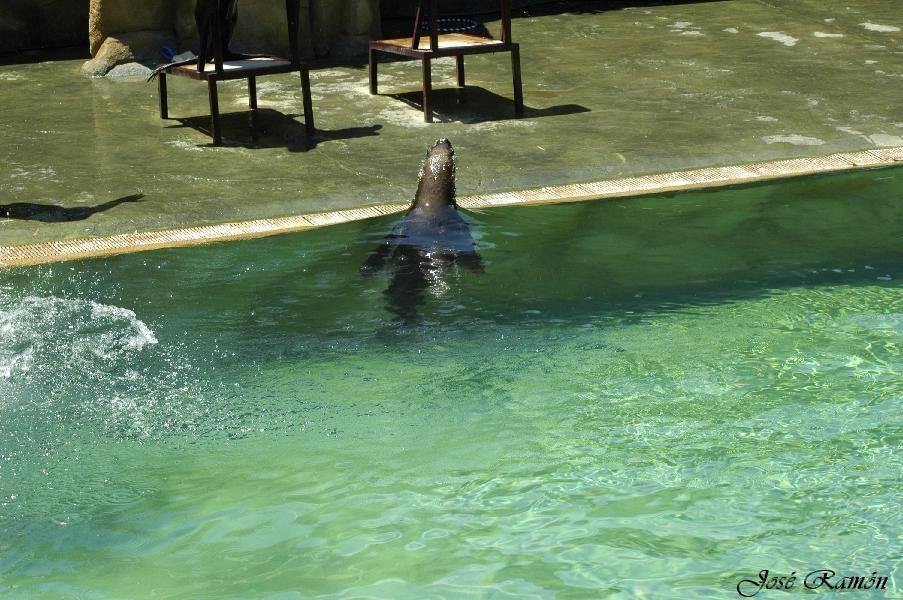 Foto de Sevilla (Andalucía), España