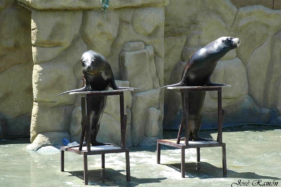 Foto de Sevilla (Andalucía), España