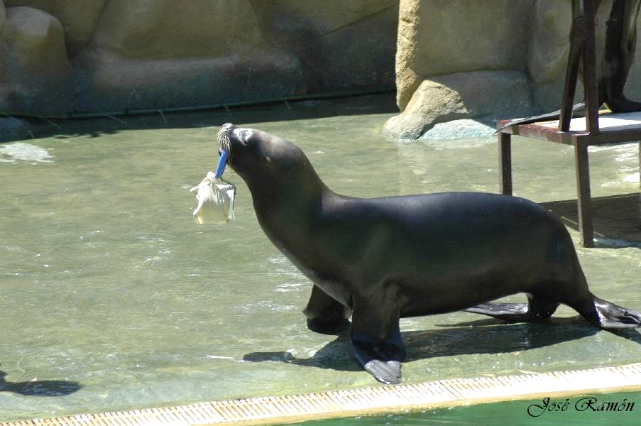 Foto de Sevilla (Andalucía), España