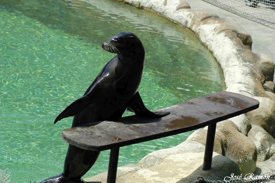 Foto de Sevilla (Andalucía), España