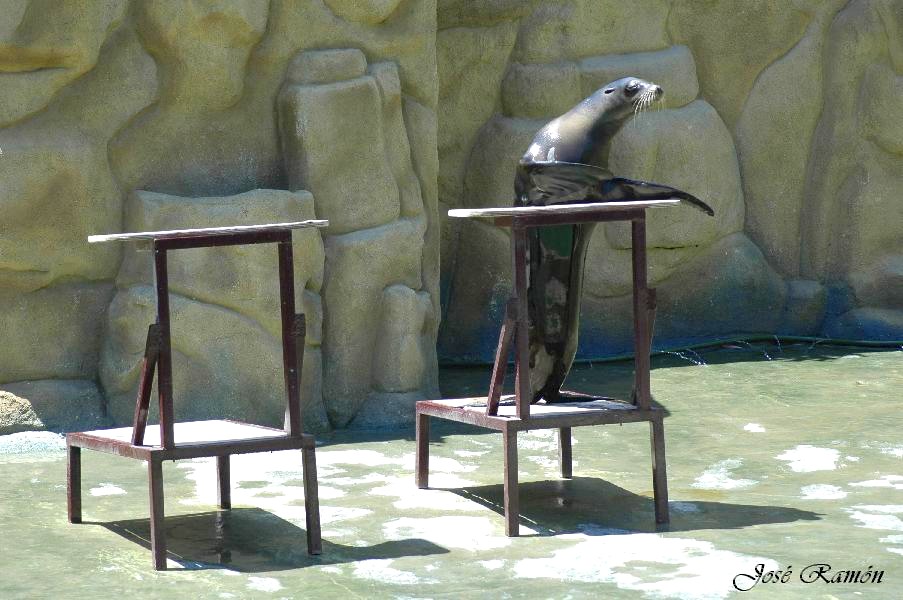 Foto de Sevilla (Andalucía), España