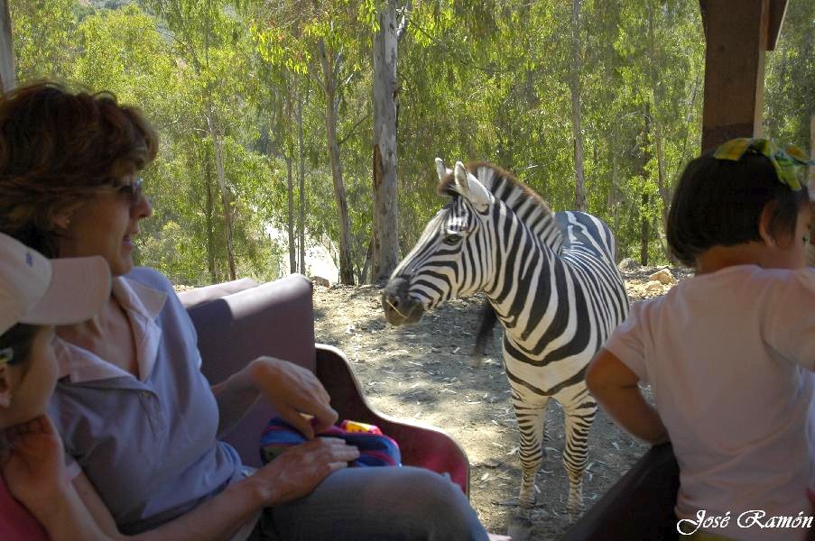 Foto de Sevilla (Andalucía), España