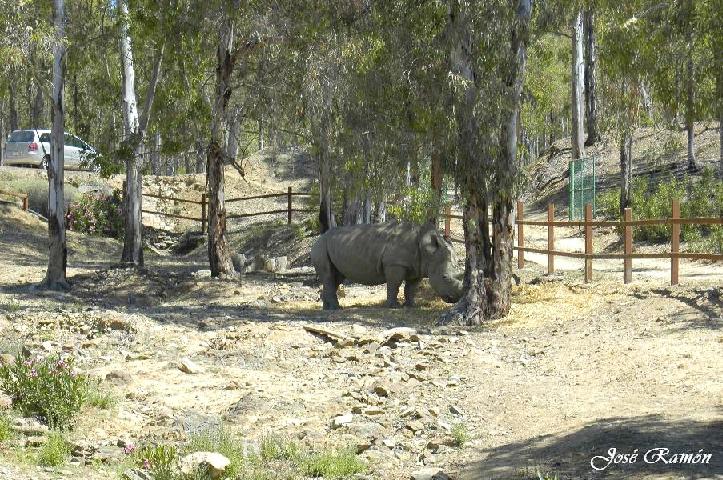 Foto de Sevilla (Andalucía), España